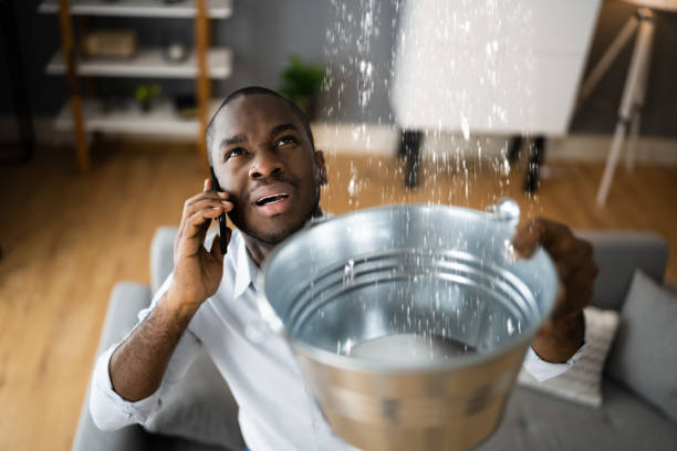 Best Local water damage restoration  in Clintonville, WI