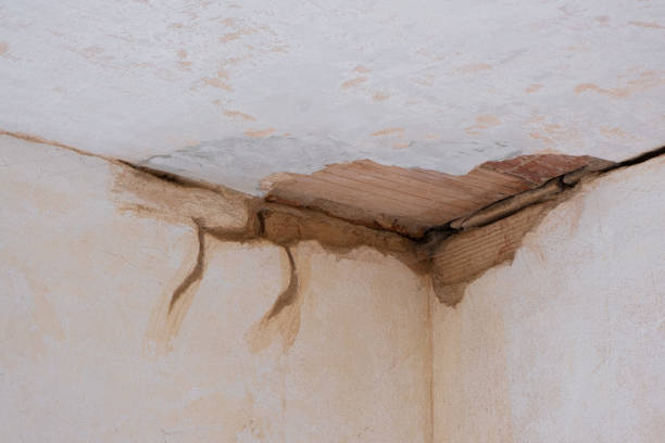 Best Flooded house restoration  in Clintonville, WI
