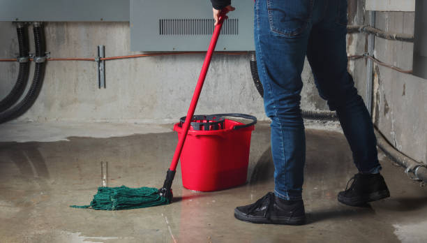 Best Water damage restoration mold remediation  in Clintonville, WI