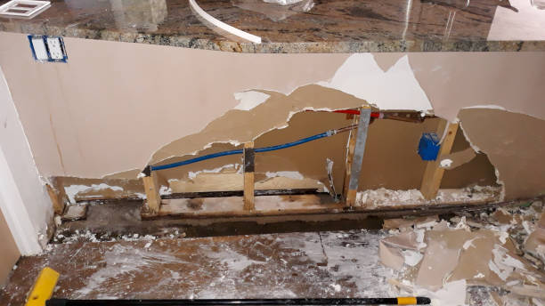 Best Professional water damage repair  in Clintonville, WI