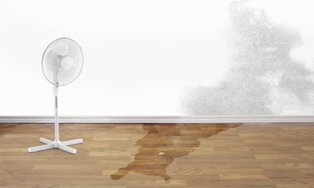 Best Emergency water damage restoration  in Clintonville, WI