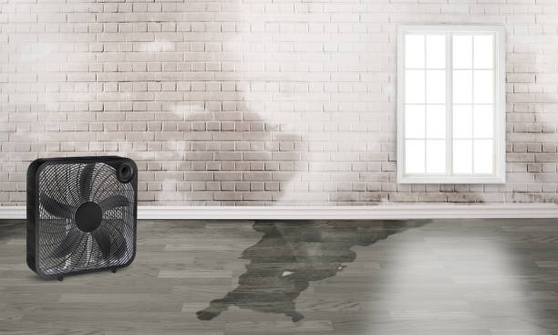 Best Water damage contractors near me  in Clintonville, WI