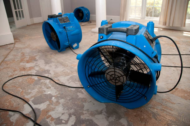 Best Commercial water damage restoration  in Clintonville, WI