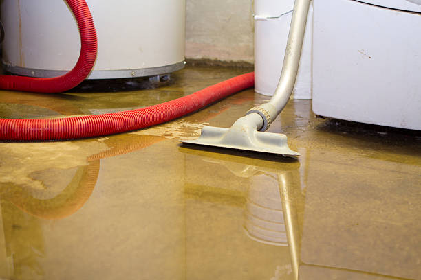 Best Sewage cleanup and water damage restoration  in Clintonville, WI