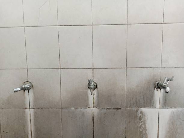 Best Water damage restoration near me  in Clintonville, WI