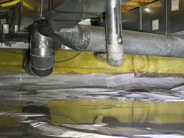 Best Water damage restoration services  in Clintonville, WI