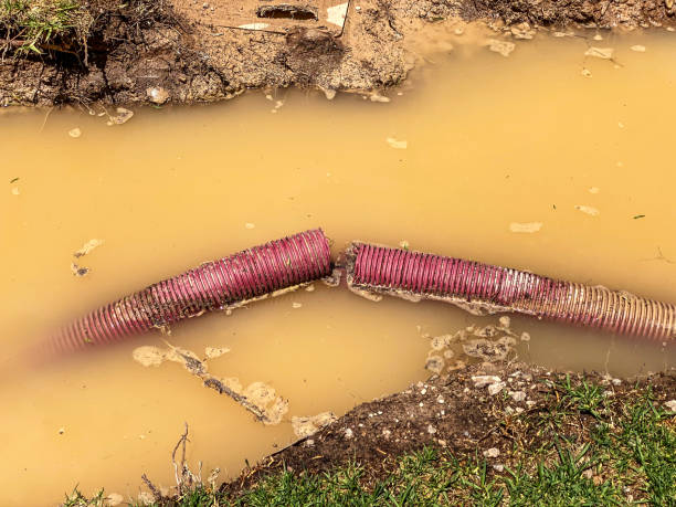Best Flood restoration services  in Clintonville, WI