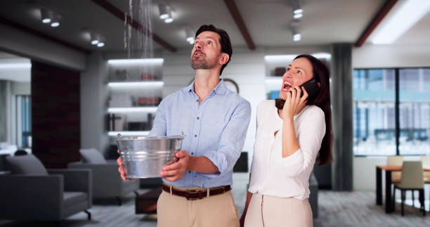Best Carpet water damage restoration  in Clintonville, WI