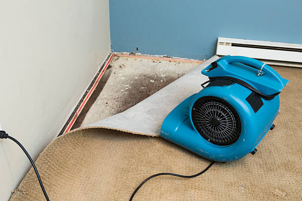 Best Flooded house restoration  in Clintonville, WI